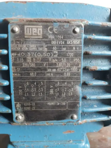 Motor WEG