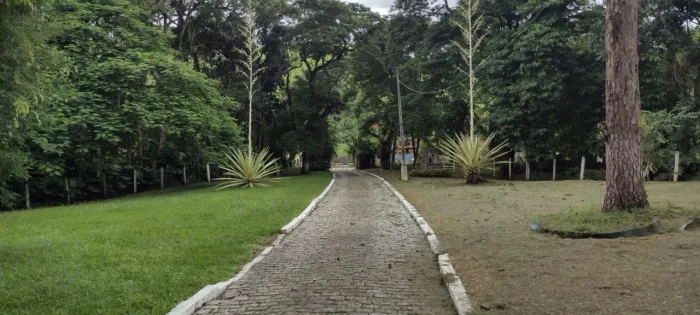 Fazenda Formada Em Pasto à 3Km do Asfalto em Cachoeira Paulista