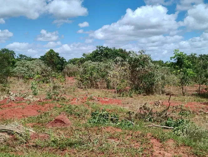 Excelentes Fazendinhas com 20.000m2, Topografia Plana com Água e Luz em Paraopeba MG