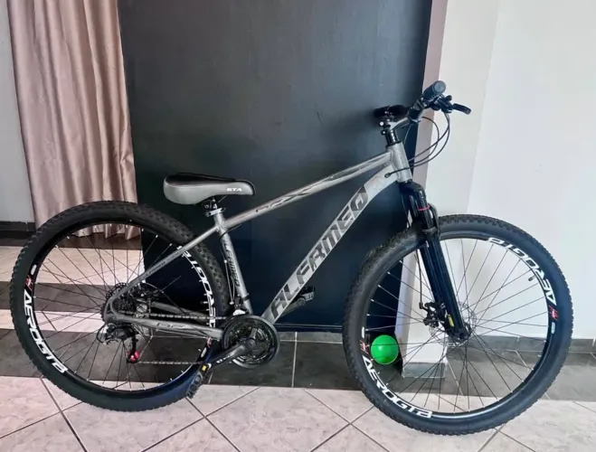 Bicicleta alfameq