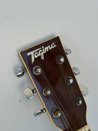 Violão Tagima