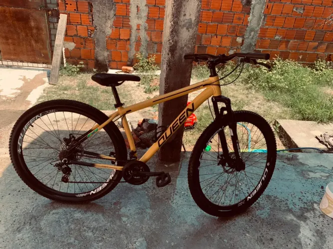 Bicicleta Queen Aro 29