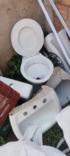 Vasos e pia