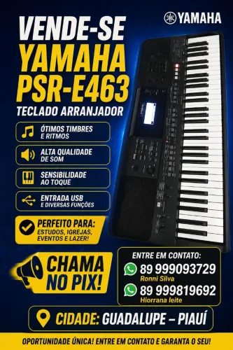 Vendo teclado Yamaha PSR E 463