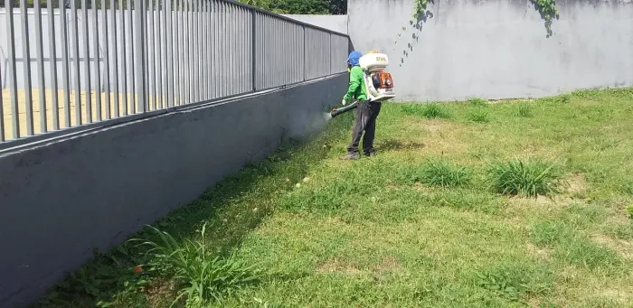Dedetizadora CP Silva.