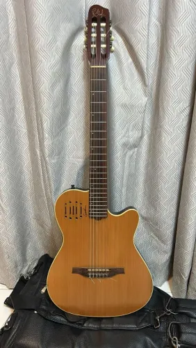 Violão Godin encore