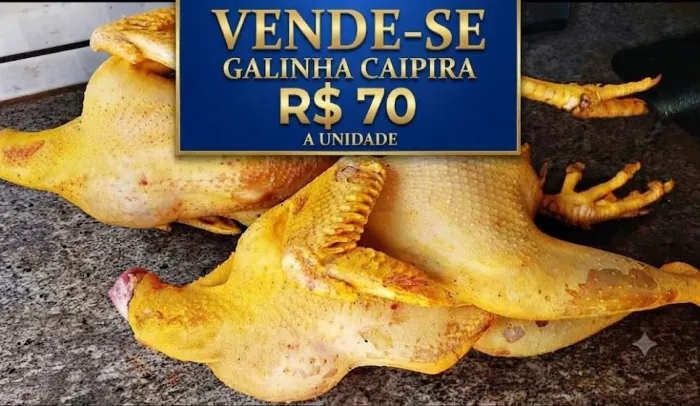 Galinha caipira e caipirao 
