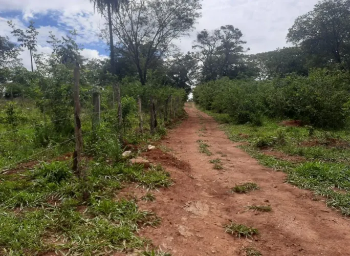 Lote Sao Jose de Almeida (Beira rio)