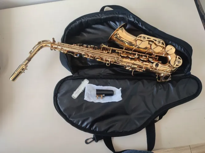 Saxofone Alto Shelter Mib Dourado - Kit Completo + Boquilha de Metal