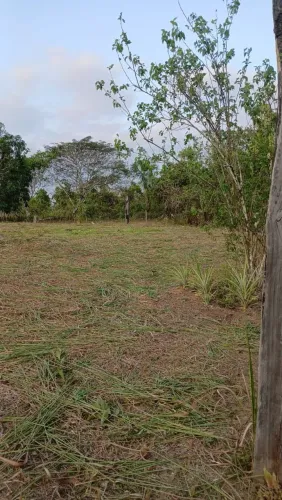 02 lotes juntos 10x25 cada, L.20 x C.25 (500)² no loteamento cidade alta