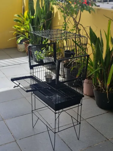 Gaiola