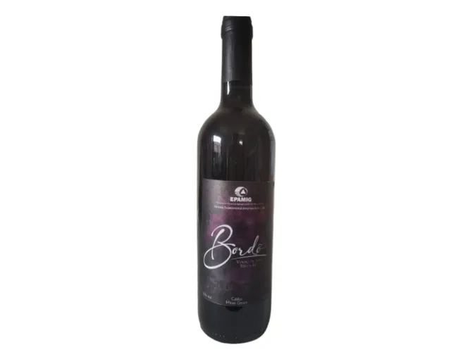 Vinho Tinto EPAMIG Bordô Seco - 750ml - Safra 2022