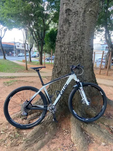 Caloi Elite Carbon