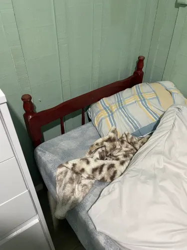 cama solteiro de madeira