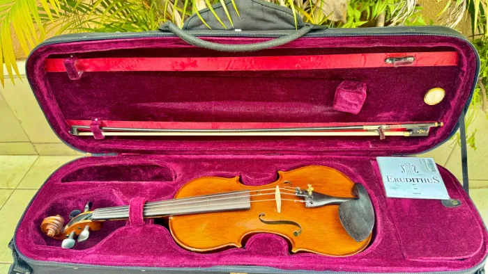 Violino Eagle 4/4 modelo VE244