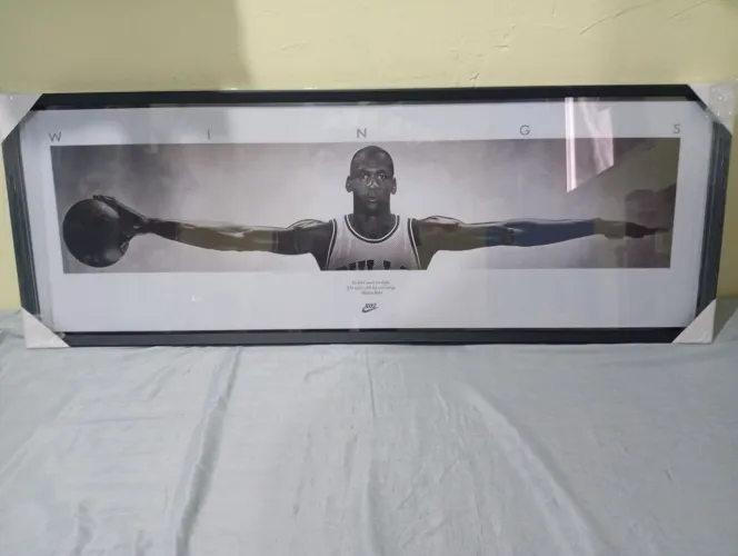 Quadro Michael Jordan