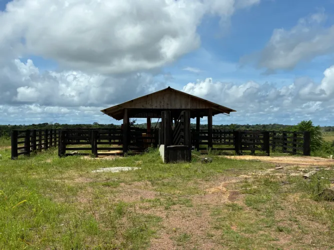 719 hectares com 300 abertos fazenda arrumada há 265 km de Belém do Pará R$4.500.000