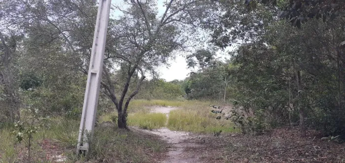 Sítio próximo a cachoeira do buracão