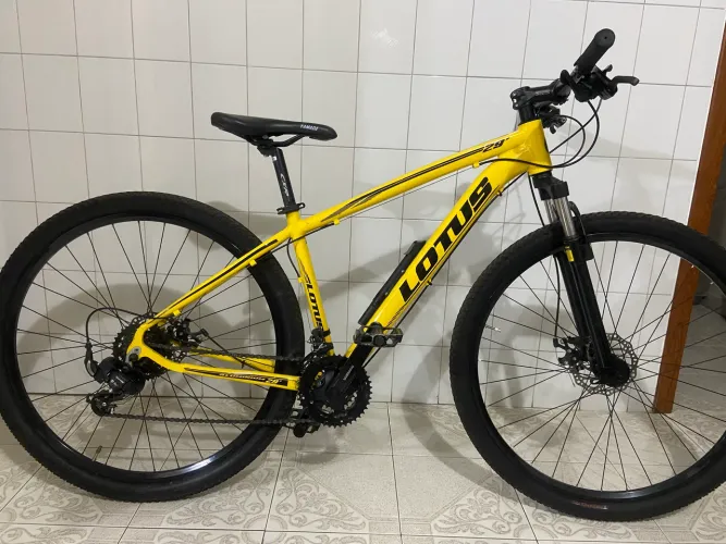 Bicicleta aro 29