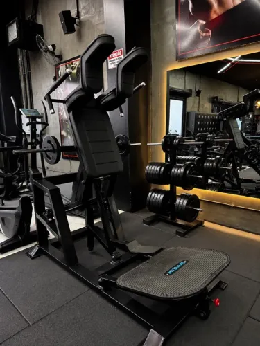 Hack Squat