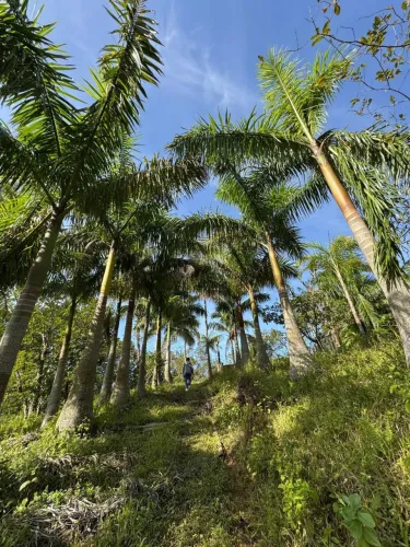 Sitio em Sao Vicente litoral de sp