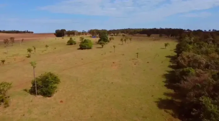 37 hectares em Bandeirantes MS