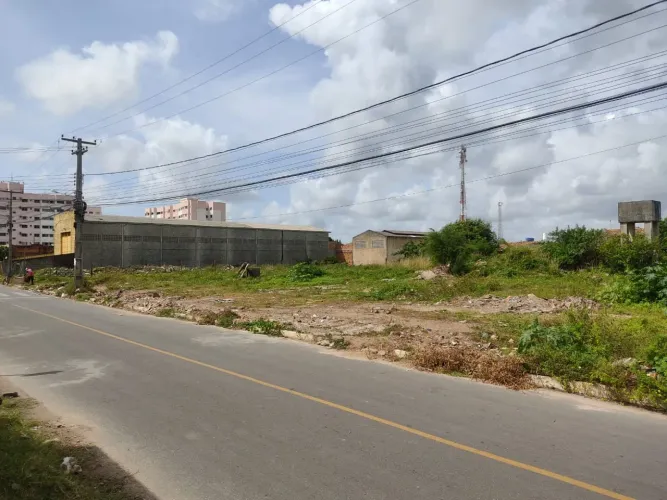 Terreno no Rosa Elze-9