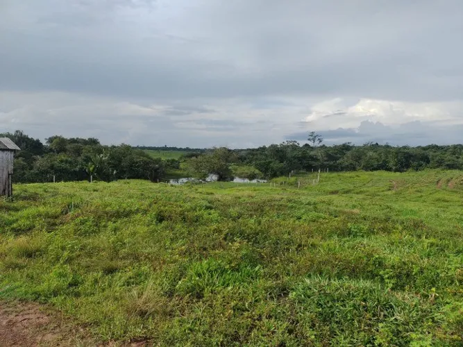 R$11 milhões fazenda com 200 alqueires sendo 154 alqueires de pasto