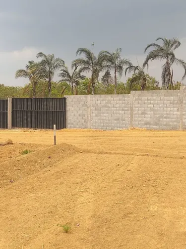 Lote 310 MTS com 15,10 mts de frente, condomínio 1.300 MTS da estrutural Caná do Reino