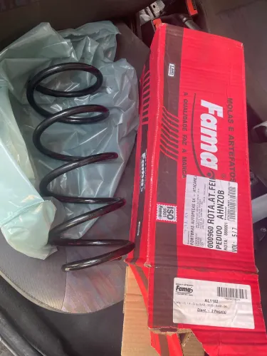 Mola celta dianteira 