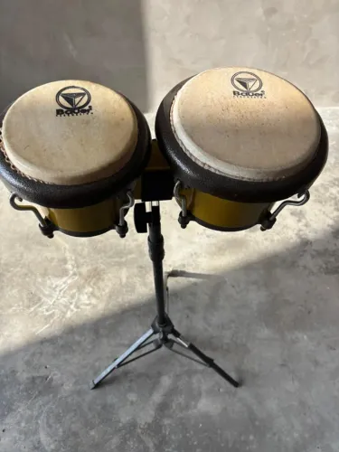 Bongo Bauer