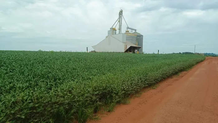 Fazenda 1.694 hec em santa Helena MT. 854hec abertos argila 35 a 45% silo 85ton. R$: 
