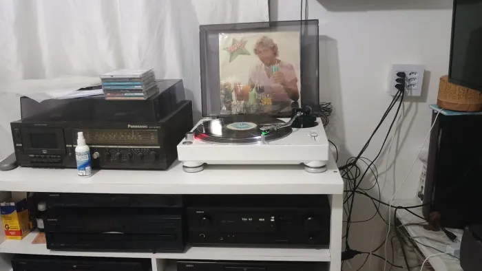 Lote com 60 discos de vinil raros - Todos higienizados e com plástico interno e externo 