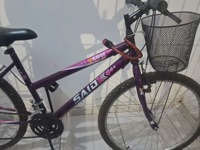 Bicicleta 