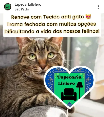 Renove a tapeçaria com Tecido Antigatos