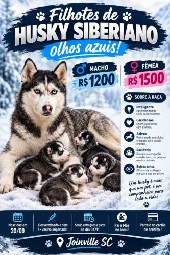filhotes de husky siberiano