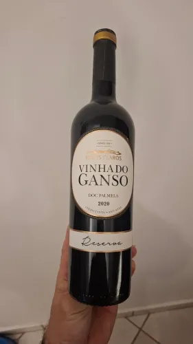 Vino Palmela Pegos Claros - Vinha do Ganso Reserva - 2020