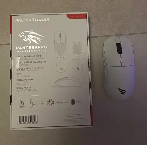 mouse