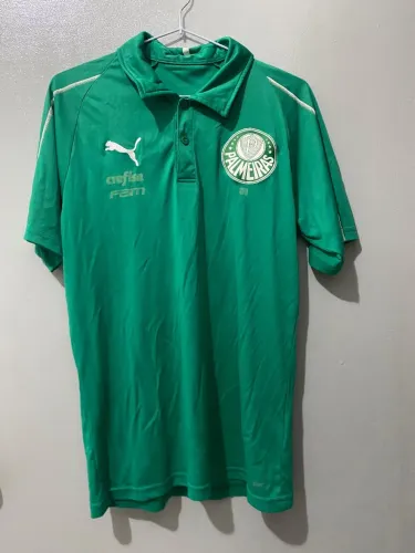 Camisa do Palmeiras drycell 