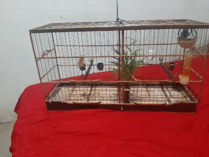 Gaiola