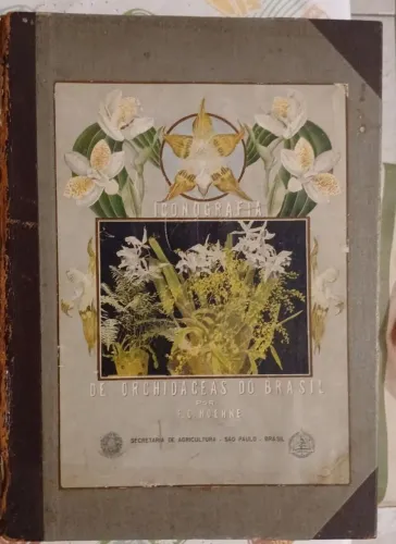 Iconografia de Orquídeas