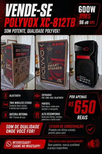CAIXA DE SOM 600W- R$ 650,00