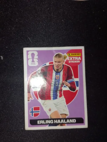 Figurinha do halland legend bordo