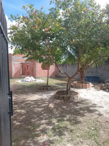 Terreno com casa quase pronta