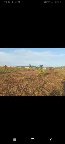 Terreno amplo 10x30 com ótimo preço!