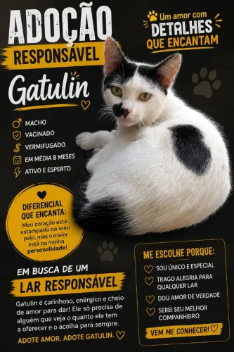Adoção Responsável - GATULIN