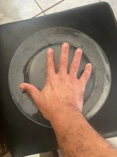 Pratos refeição cristal raso
