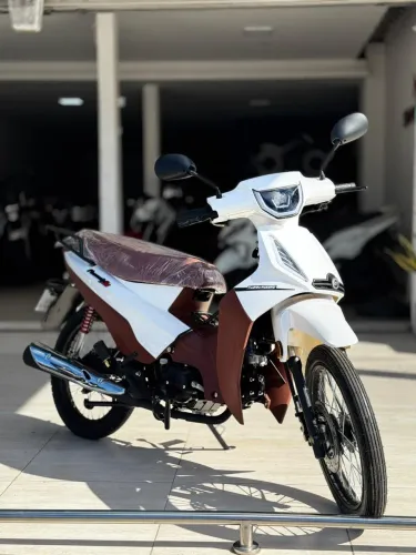 SHINERAY PHOENIX 50S EFI 2027 / APROVA MOTOS