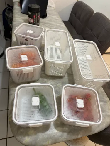 Organizador geladeira