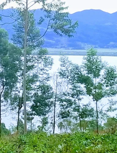 Seu refúgio com vista panorâmica para lagoa de Imarui